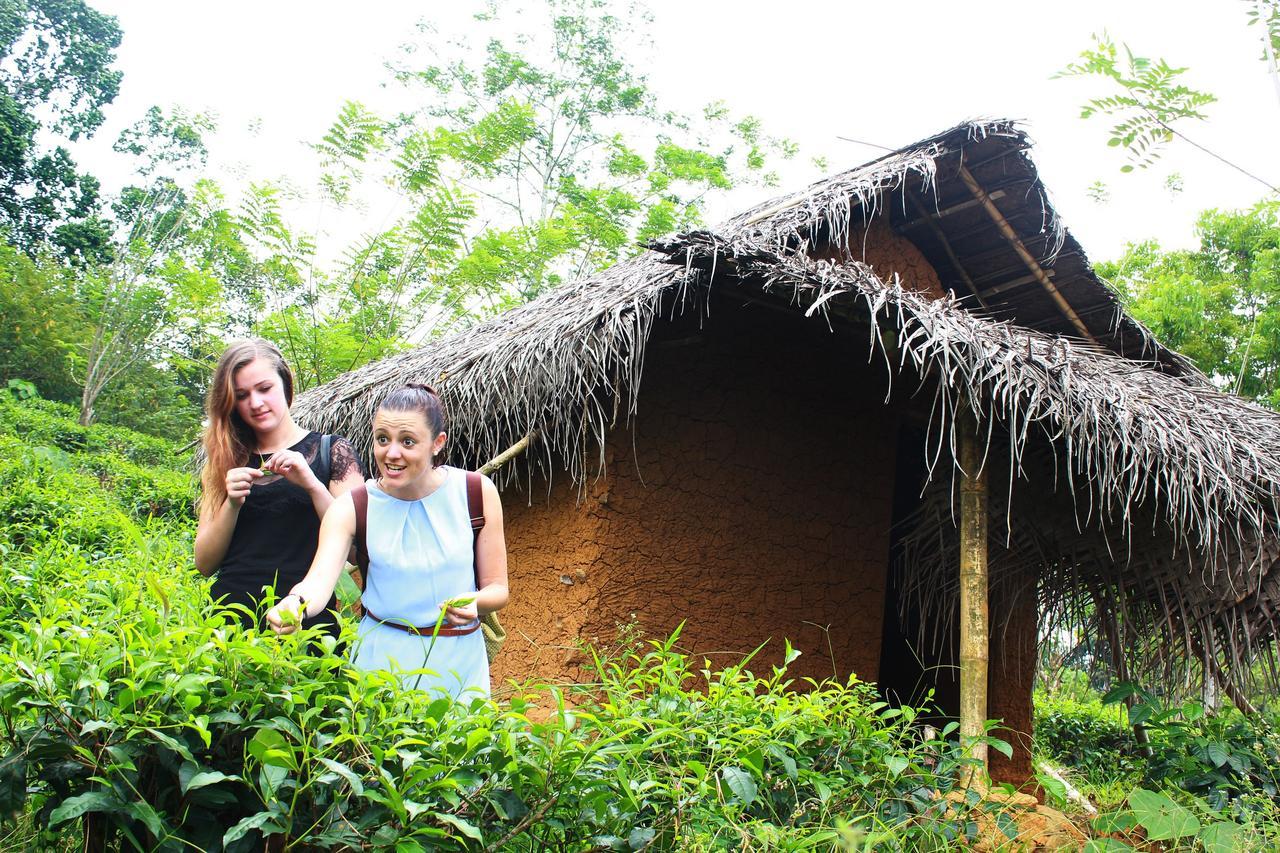 Bedda Eco Cottages Deniyaya Buitenkant foto
