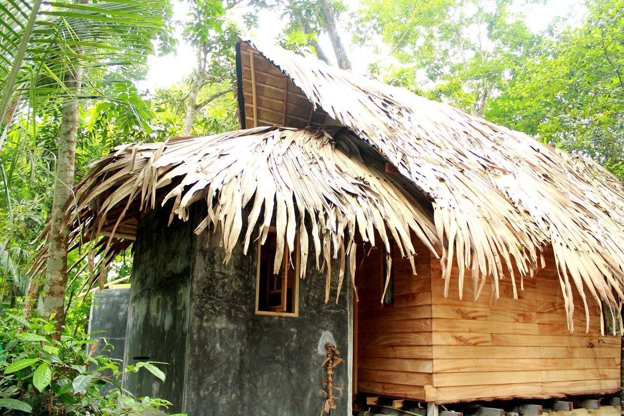 Bedda Eco Cottages Deniyaya Buitenkant foto