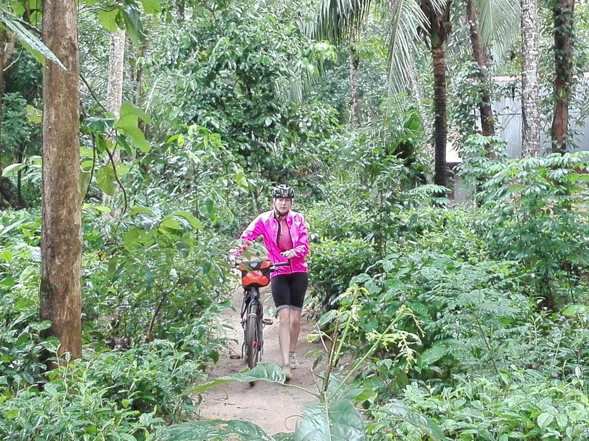 Bedda Eco Cottages Deniyaya Buitenkant foto