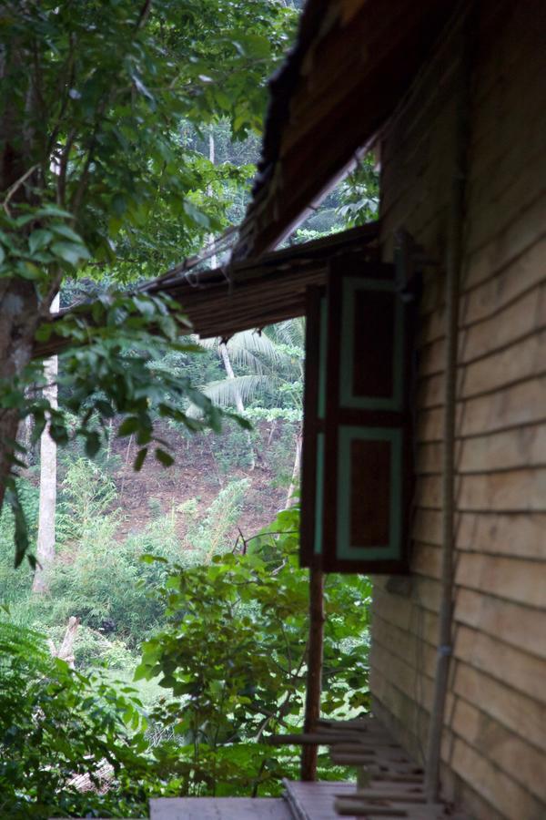 Bedda Eco Cottages Deniyaya Buitenkant foto