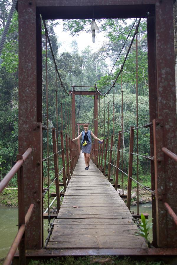 Bedda Eco Cottages Deniyaya Buitenkant foto