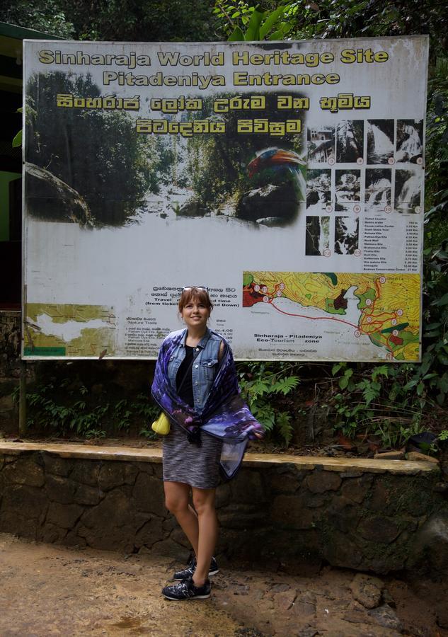 Bedda Eco Cottages Deniyaya Buitenkant foto