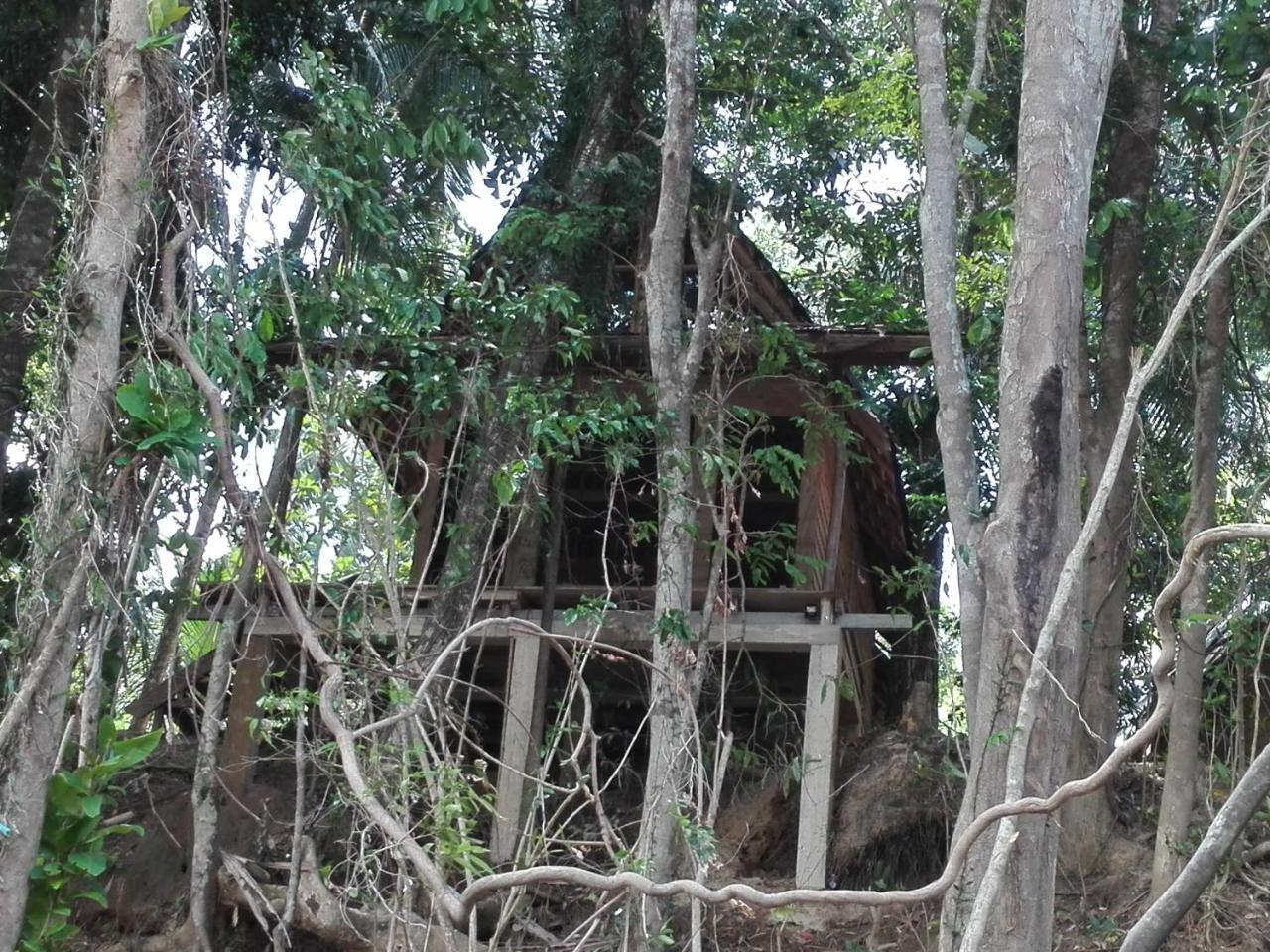 Bedda Eco Cottages Deniyaya Buitenkant foto